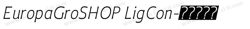 EuropaGroSHOP LigCon字体转换